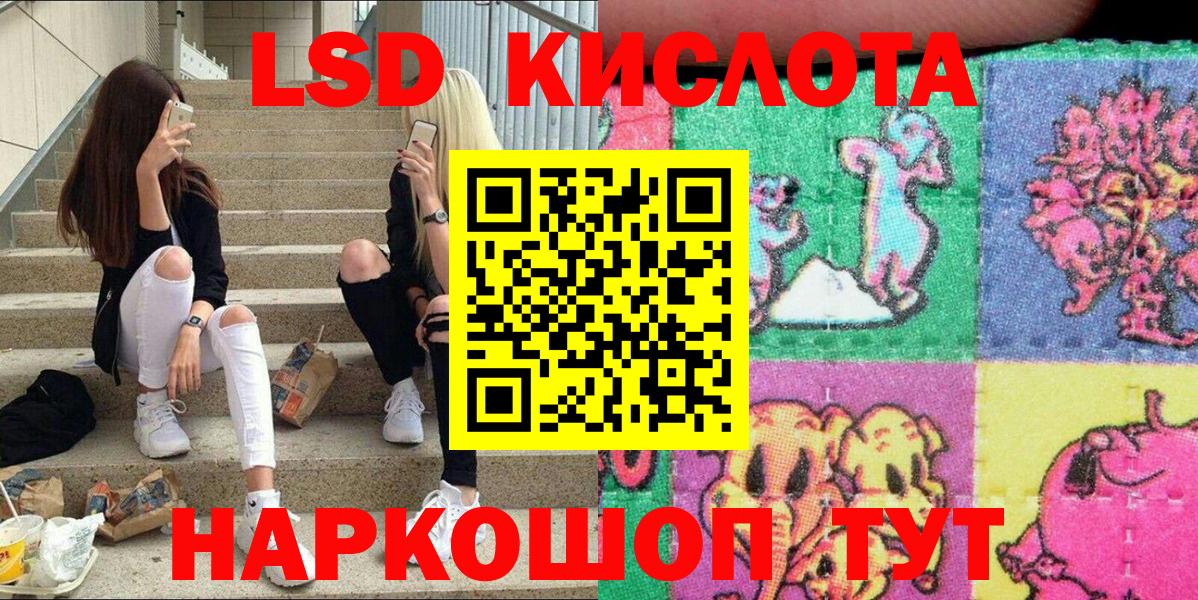 продажа наркотиков  Вход с VPN  Марки NBOMe 1500мкг  Кимовск  Марки NBOMe 1500мкг 
